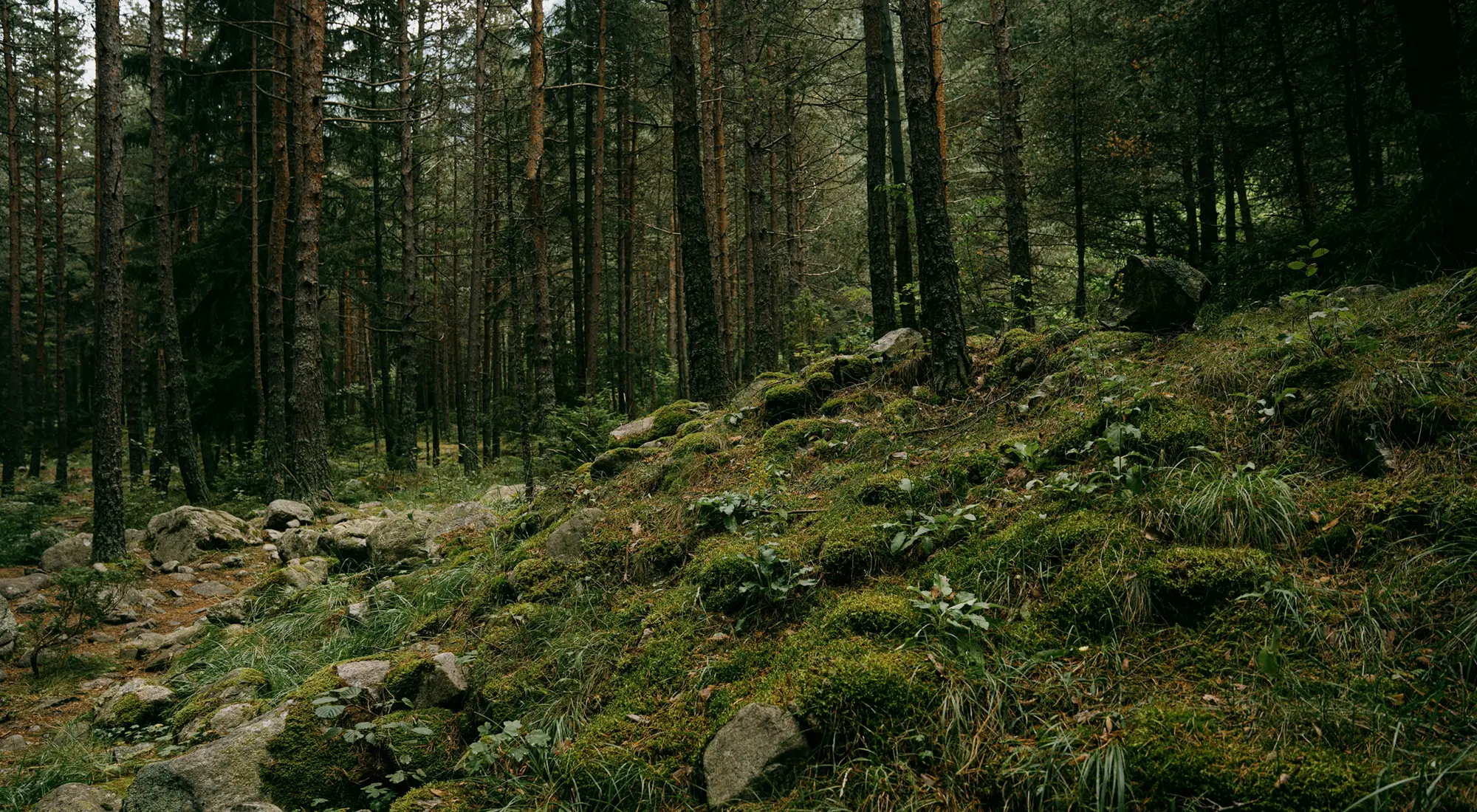 独自の文化を育むブルガリア。最高のロケーションを厳選